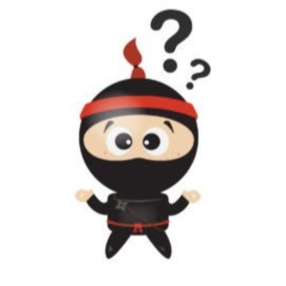 puzzledninja